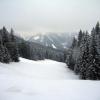 Schneetreiben in Hintersee