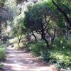 Parc del Laberint d\'Horta