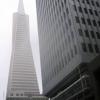 Transamerica Pyramid