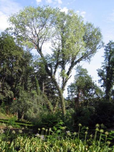 Parc del Laberint d\'Horta