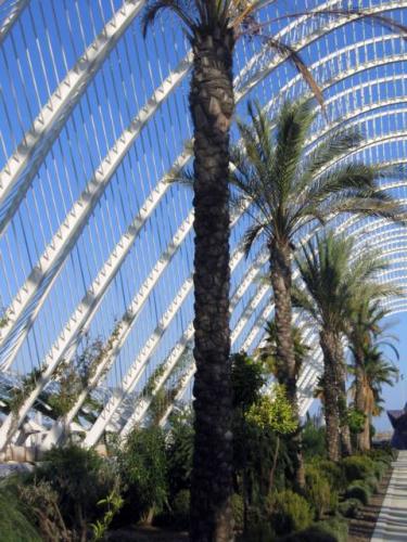 Ciudad de las Artes y las Ciencias